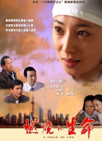 欧美一级网