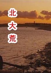 免费国产网址