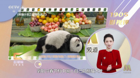 国产精品成人久久久久久久